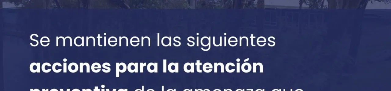 Actualización