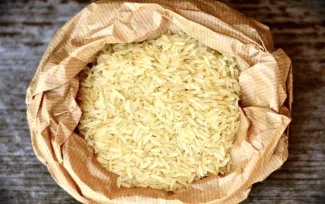 Arroz