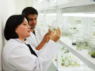 investigadores