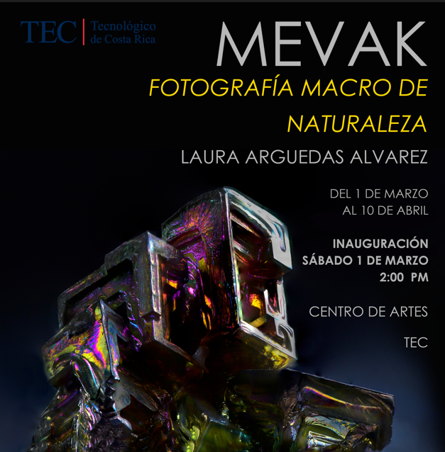 mevak, afiche de la exposición