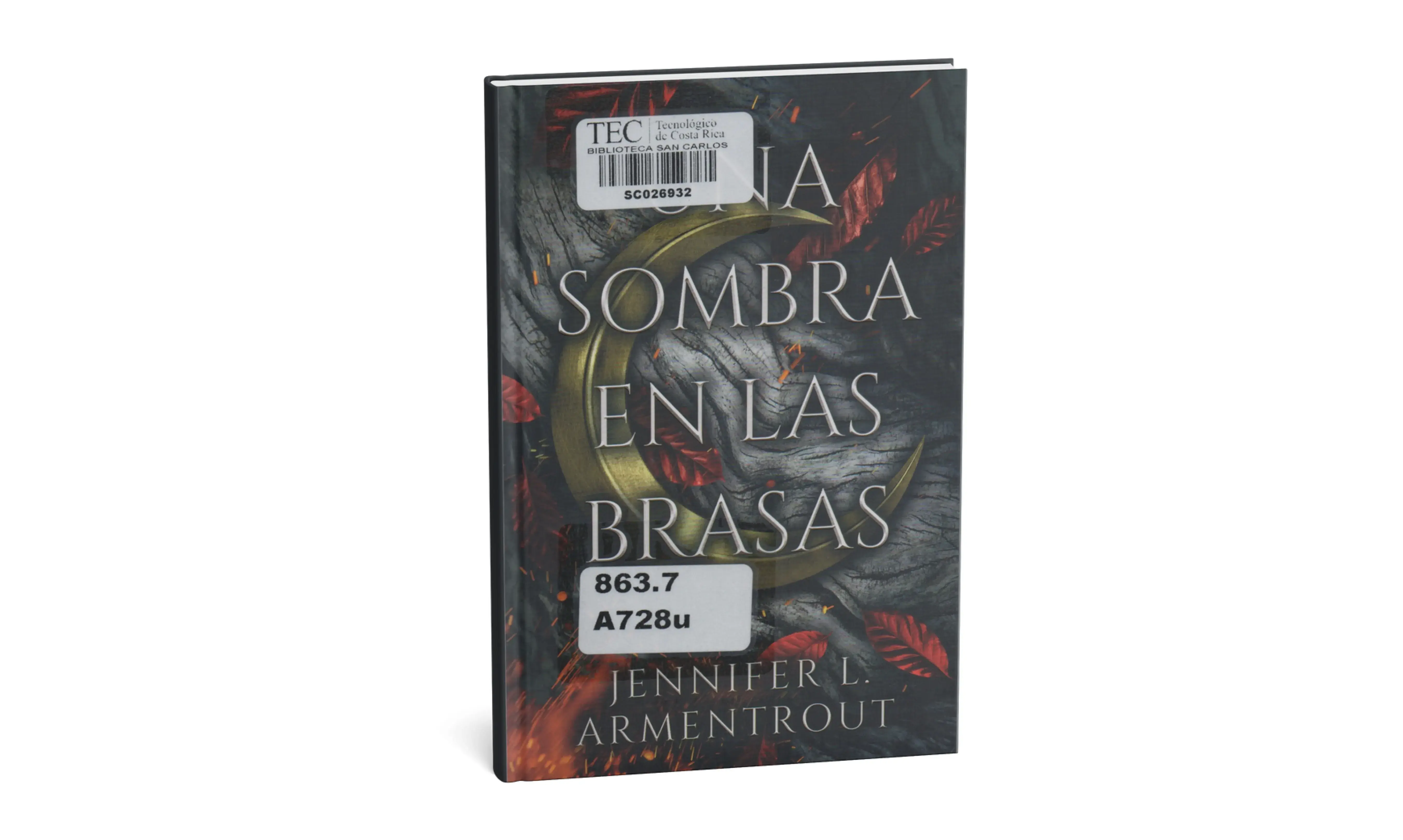 Una sombra en las brasas