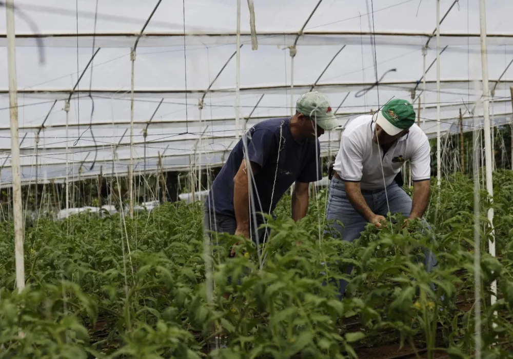 Agricultores