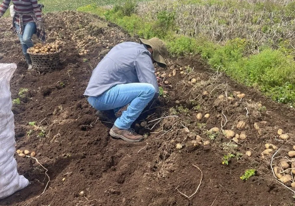 Fotografía de agricultor