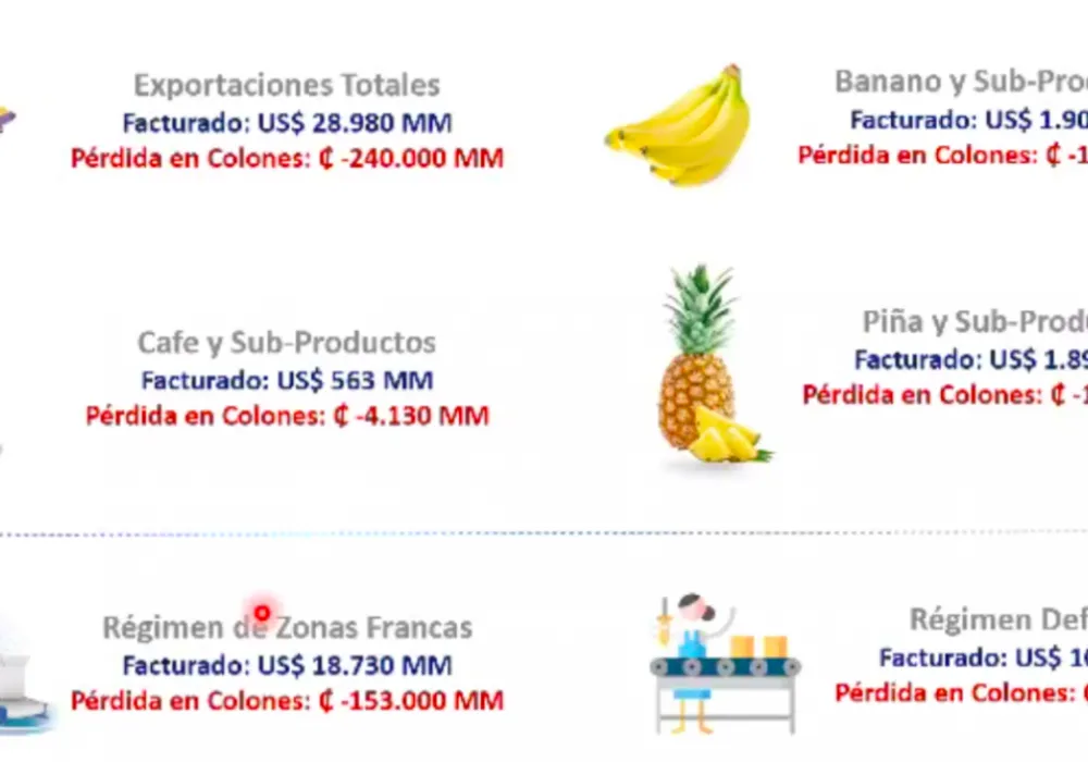 Pérdidas registradas por el diferencial cambiario