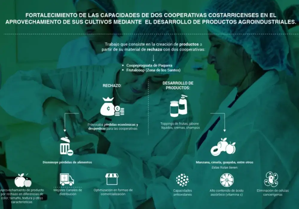Infografía