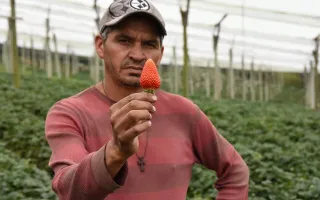 agricultor