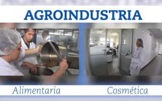 Agroindustria