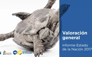tortuga