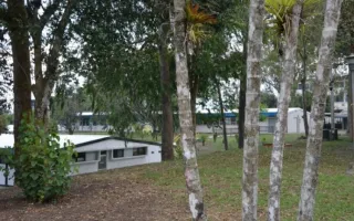 Árbol