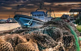 Pesca arrastre