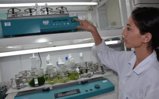 biotecnologia-tec