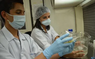 biotecnologia