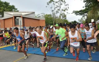 carrera