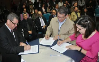 Consultaría