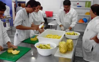 curso_frutas_0