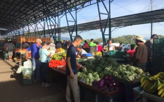 Feria del agricultor