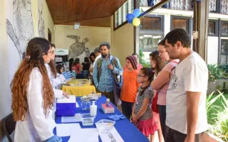 Festival Químico