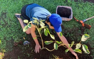 Persona sembrando una planta 