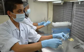 laboratorio_biologia_cib_95