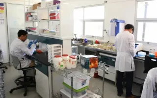 Laboratorio