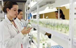 Laboratorio