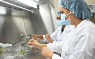 Laboratorio