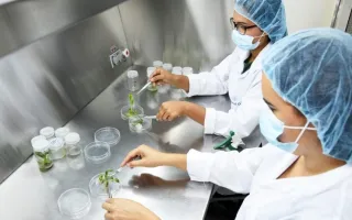 Laboratorio