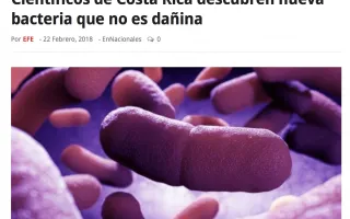 Noticia