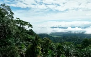 Paisaje