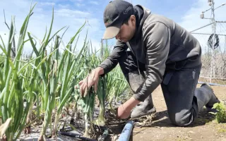 Agricultura