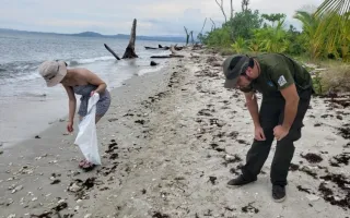 Recolección de desechos en playa 