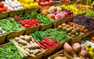 rsz_alimentos