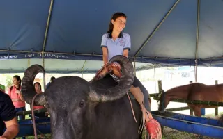 Feria vocacional