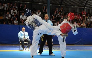 taekwondo