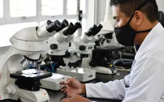 Microscopio 
