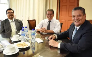 Alcalde SJ