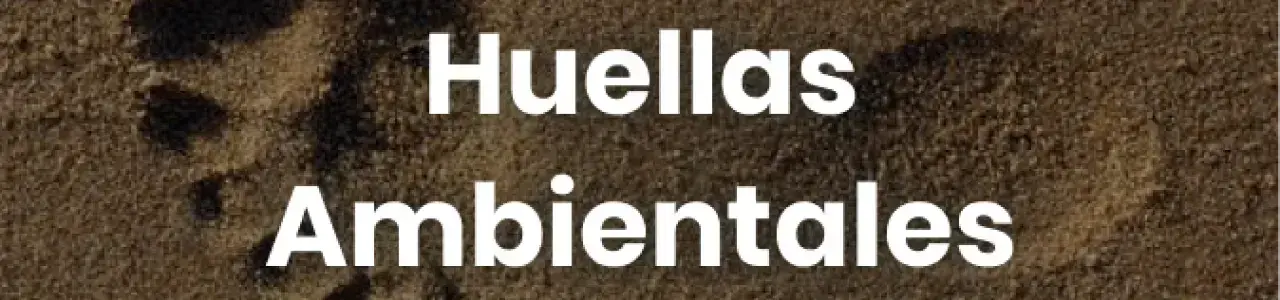 huella de una persona en la arena