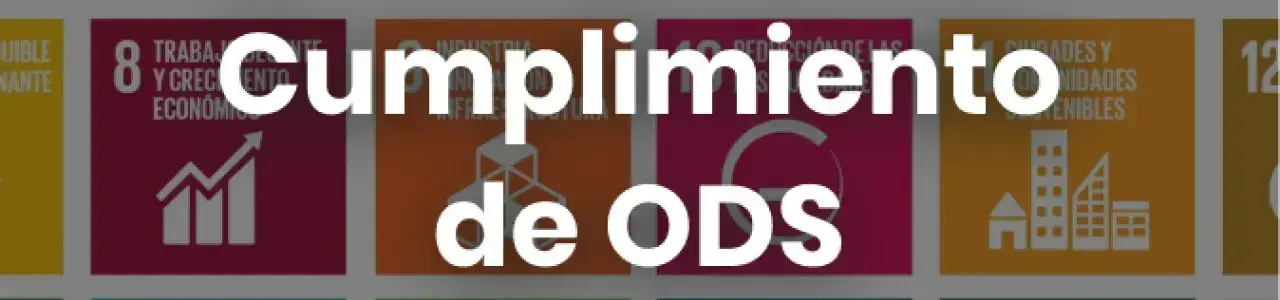 infografía con los iconos de las 17 ods