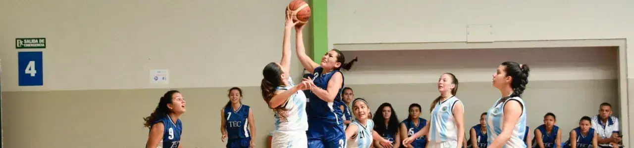 Imagen principal baloncesto Fotografía imagen principal curso baloncesto