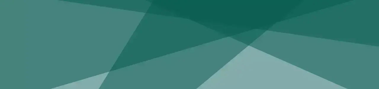 Persona investigadora
